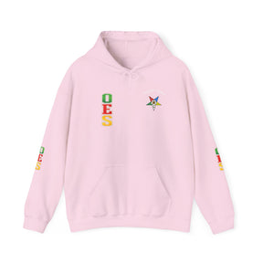 OES Hoodie - Colorful Eastern Star & Initials with Personalization - Bricks Masons