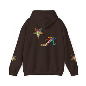 OES Hoodie - Faith Truth & Love with The Colorful Eastern Star - Bricks Masons