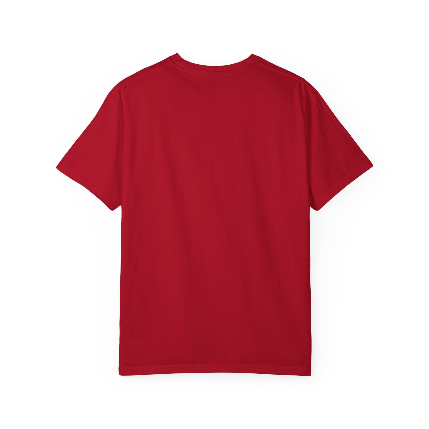 Allied Masonic Degrees T-Shirt - Cotton Garment-Dyed Tee Various Colors - Bricks Masons