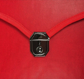 Master Mason Blue Lodge Apron Case - Multiple Colors & Sizes Leather Provincial - Bricks Masons