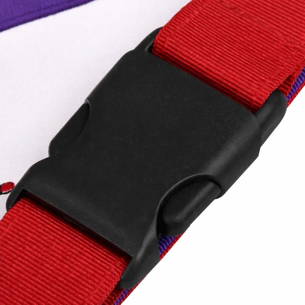 Royal Arch Chapter & Council Apron - Reversible Double-Sided Purple & Red Ribbon - Bricks Masons